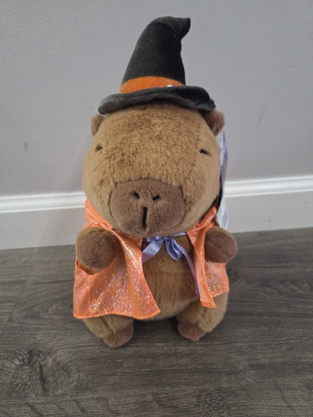 Mimibara Capybara Miniso 10" Plush Toy